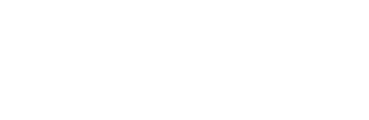 AirplaneManager_LOGO_20250107